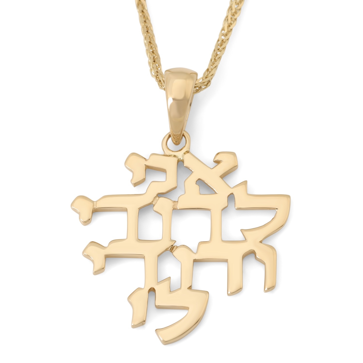 14K Gold Ani LeDodi Pendant Necklace for Women main product photo