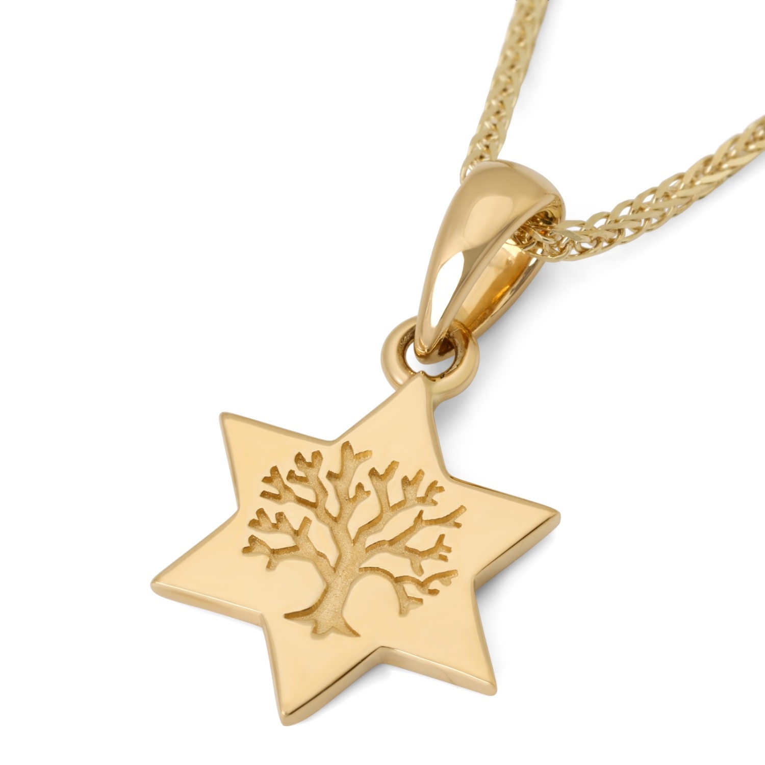 14K Gold Star of David Tree of Life Pendant Necklace main product photo