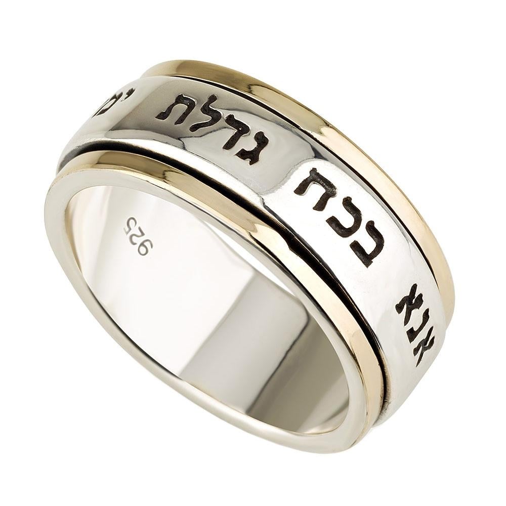 Two-Tone Ana Bekoach Spinner Ring in 9K Gold and 925 Sterling Silver main product photo