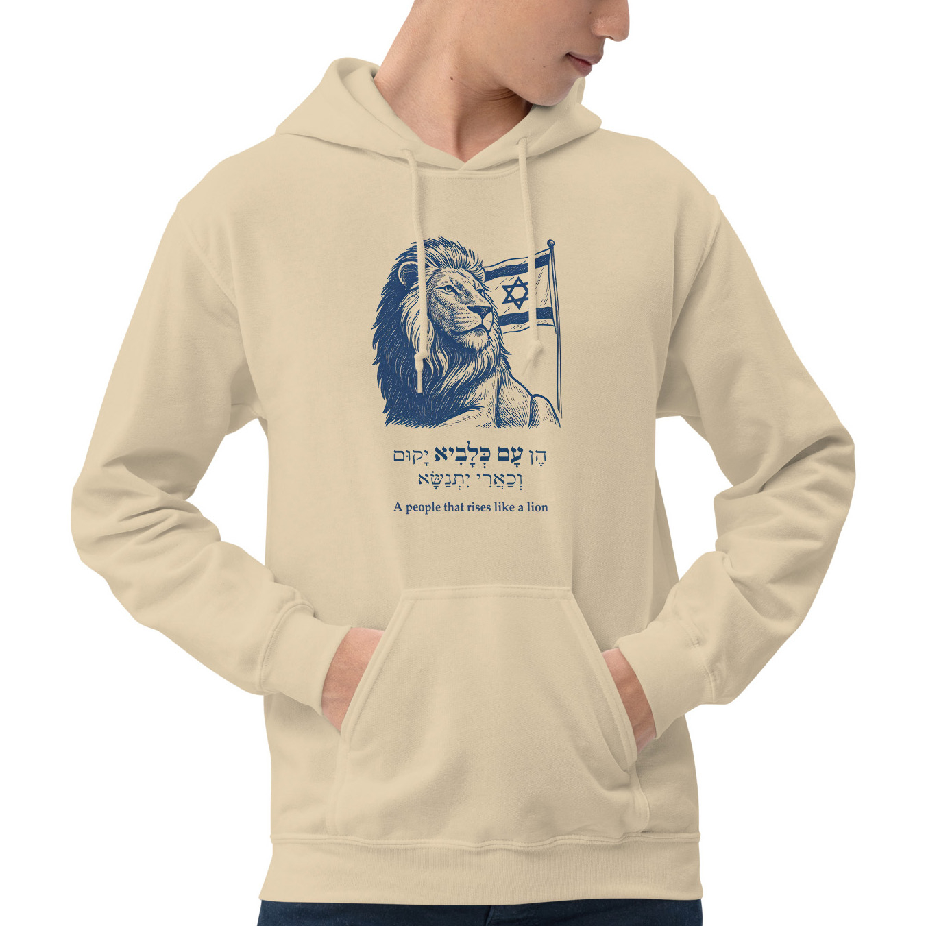 A People that Rises Like a Lion - Israeli Flag Hoodie main product photo