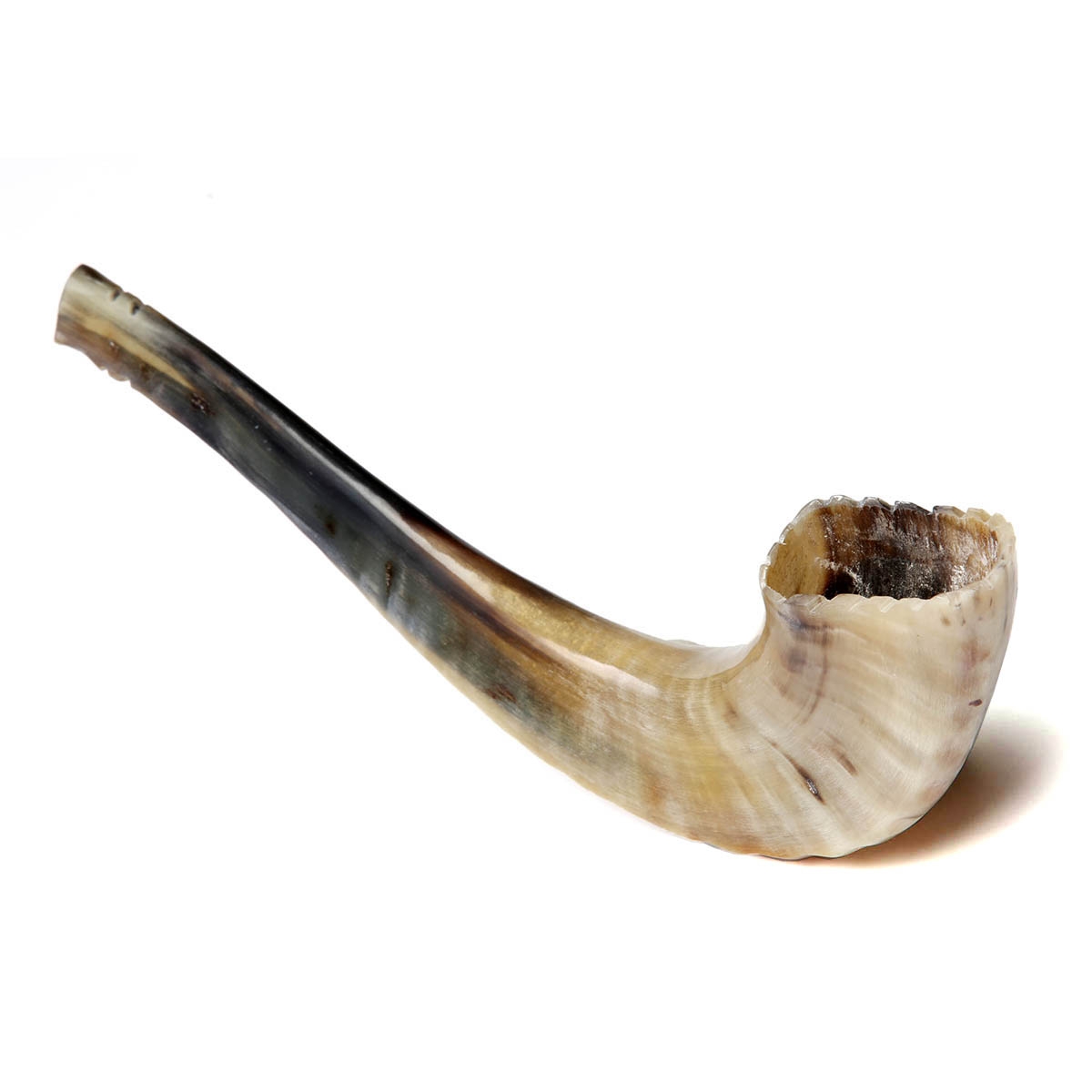 Barsheshet-Ribak Morrocan Shofar with Crown main product photo
