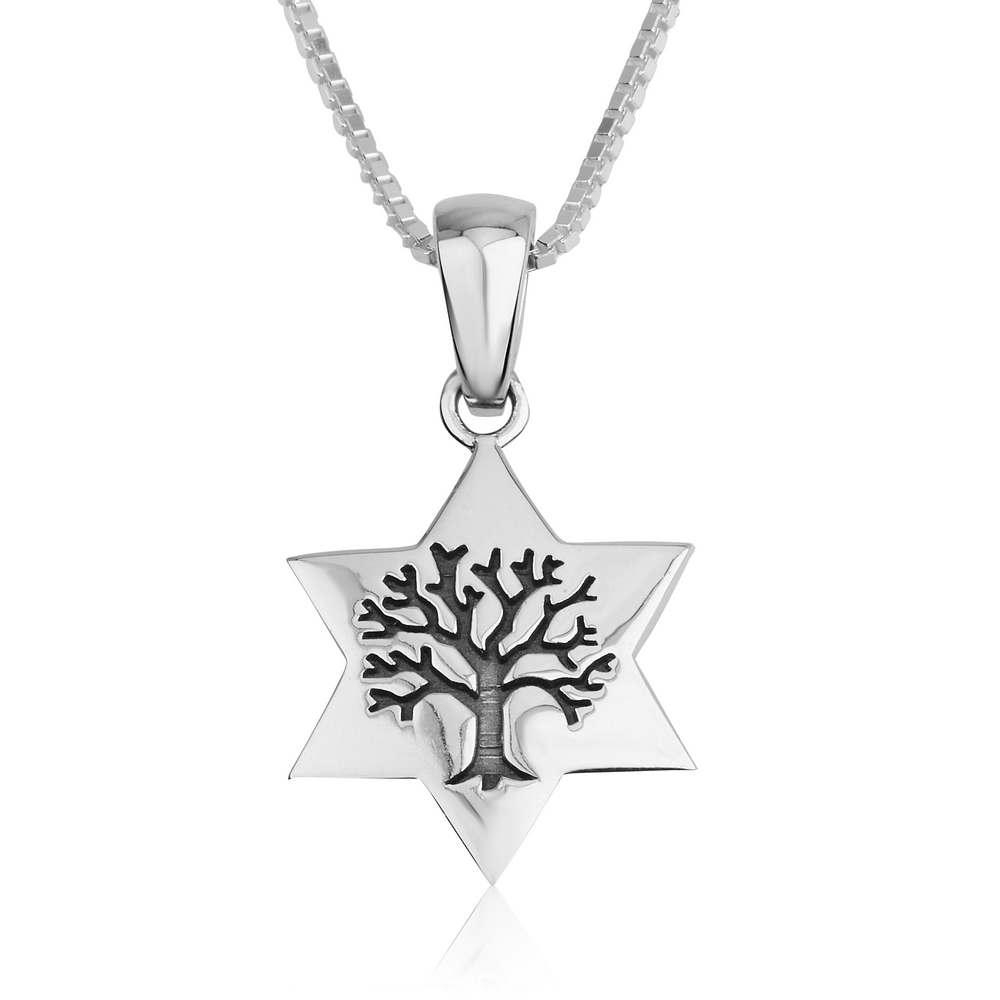 Marina Jewelry 925 Sterling Silver Star of David & Tree of Life Necklace main product photo