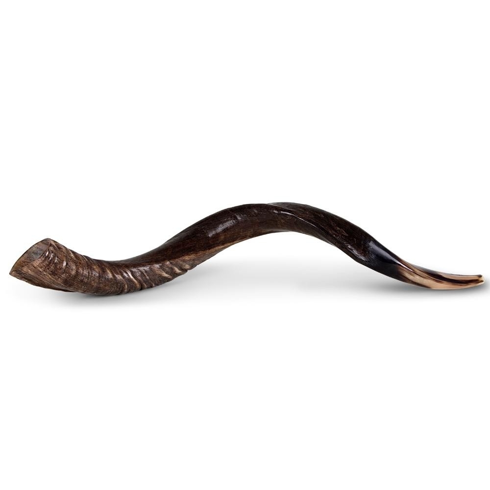 26"-28" Yemenite Kudu Shofar - Natural main product photo