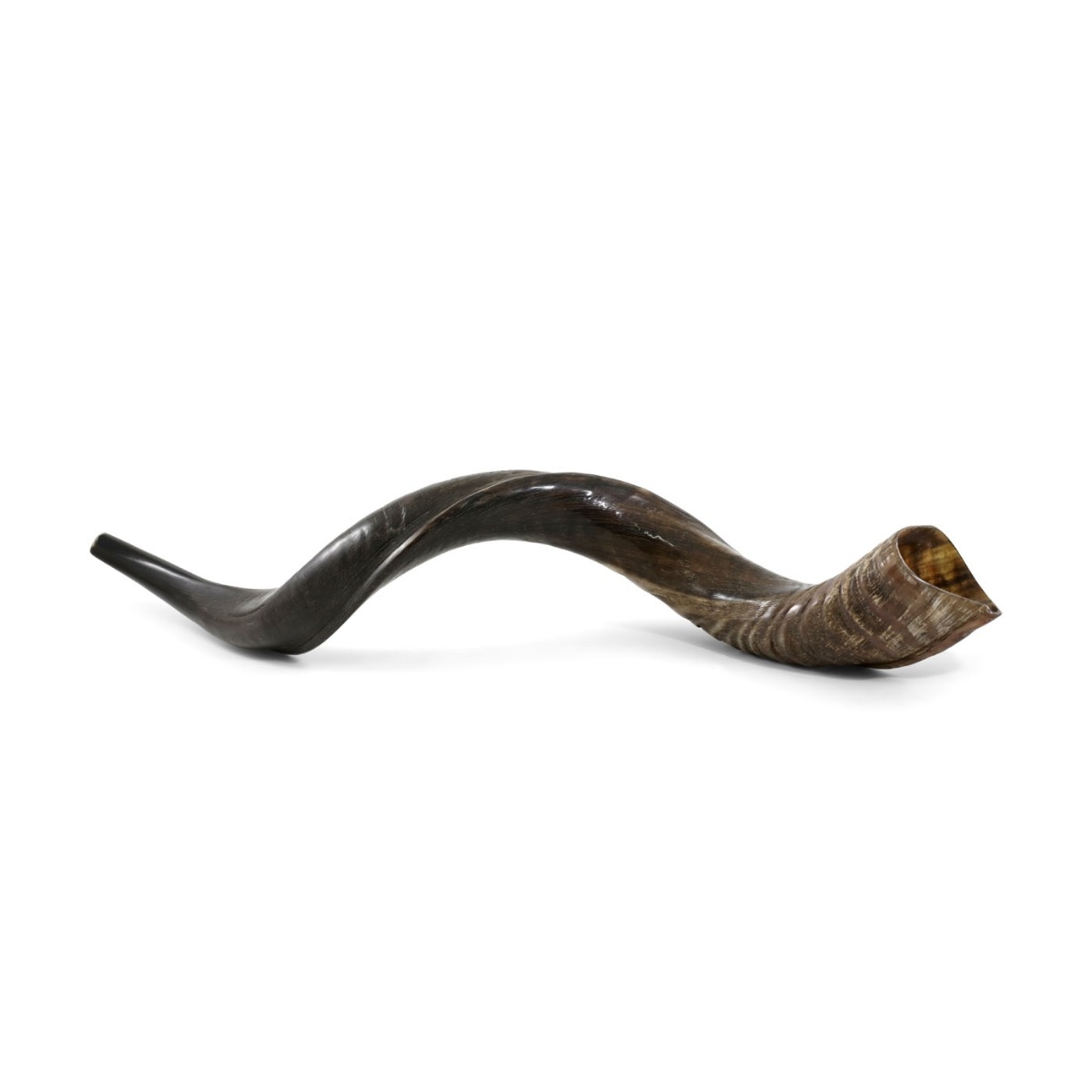 38"-40" Yemenite Kudu Shofar – Natural main product photo