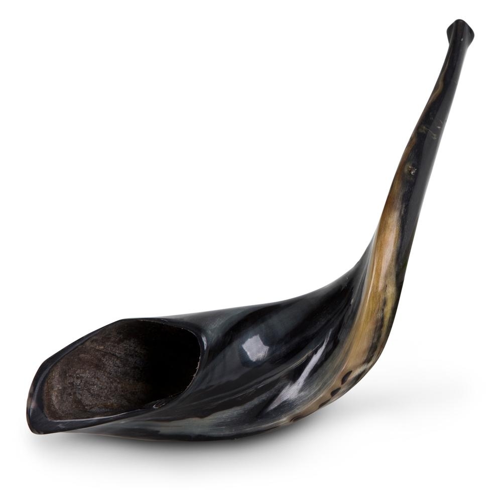 Kosher 14"-16" Classical Ram's Horn Shofar - Polished main product photo