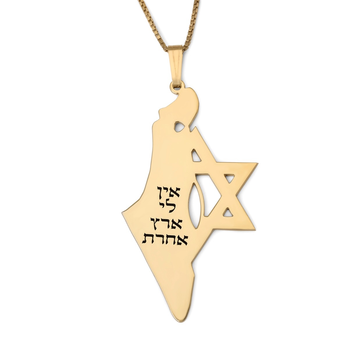 Luxury Thickness No Other Land Map of Israel Necklace with Star of David - Silver or Gold-Plated main product photo