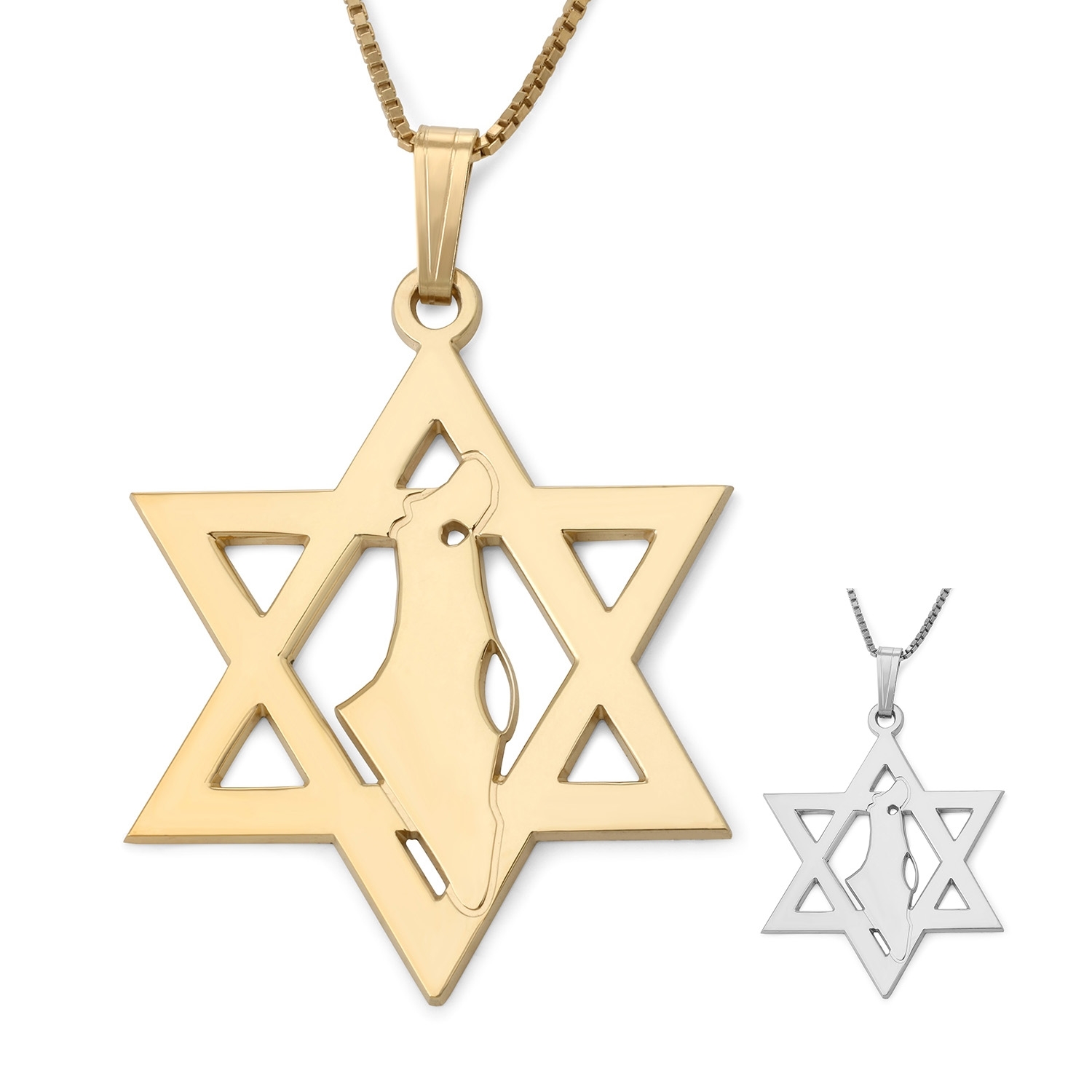 Star of David Pendant with Map of Israel - Silver or Gold-Plated Option main product photo