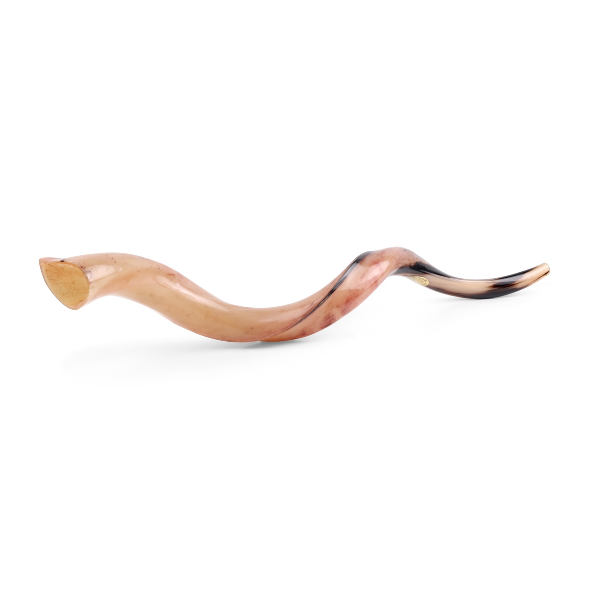 30"-32" Yemenite Kudu Shofar - Polished  main product photo