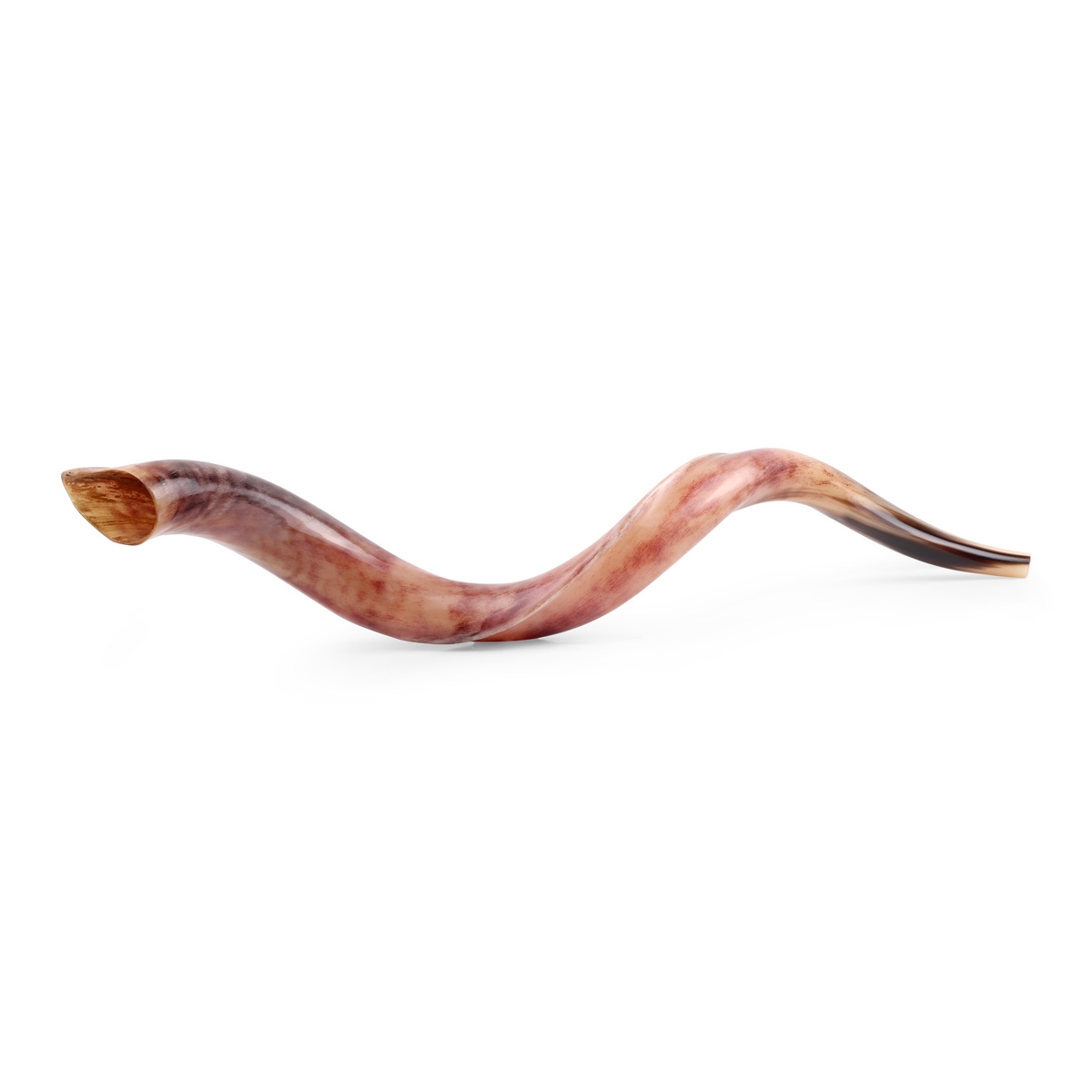 32"-34" Yemenite Kudu Shofar - Polished  main product photo