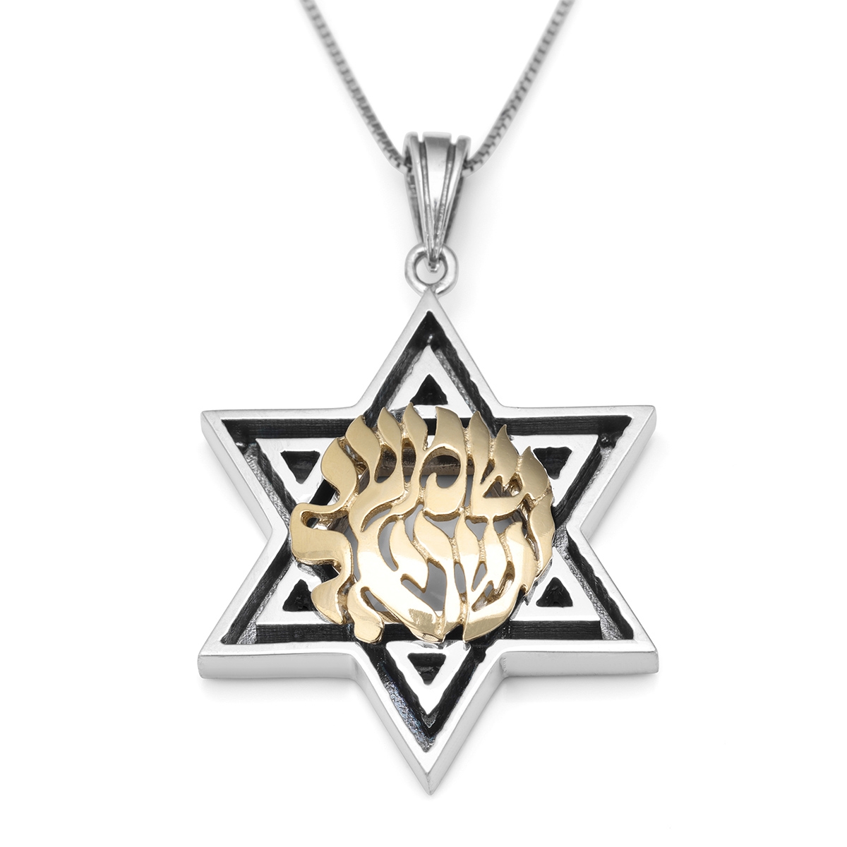 Handcrafted Star of David & Shema Yisrael Necklace for Men main product photo