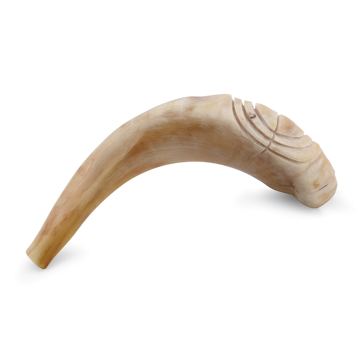 Kosher 14"-16" Polished Ram's Horn Shofar With Menorah Engraving main product photo
