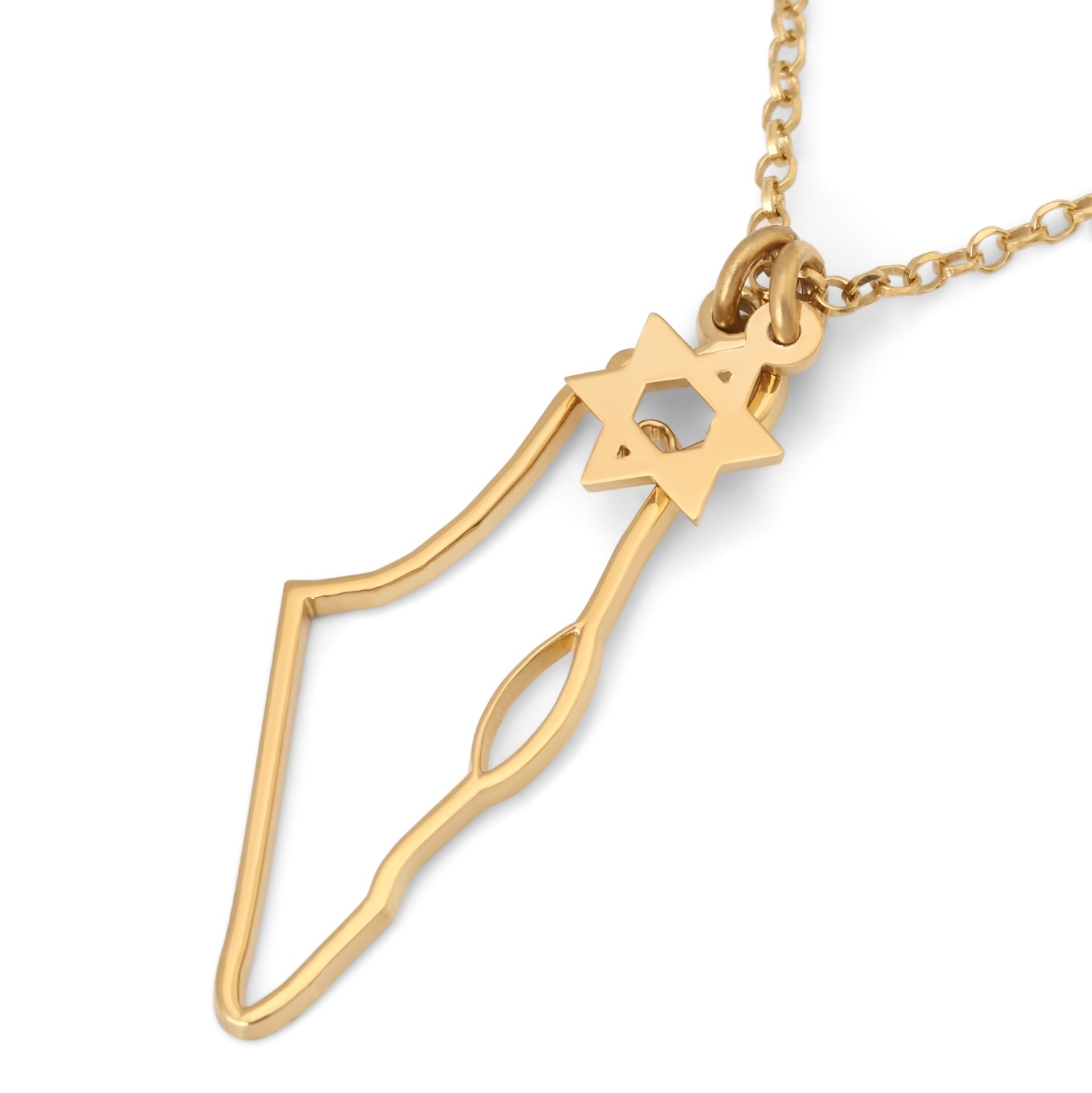 Star of David and Land of Israel Charm Necklace main product photo