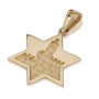 14K Gold Classic Star of David with Western Wall & Tower of David Motif Pendant - 1