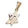 14K Gold Star of David & Chai Fusion Pendant - 1