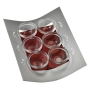 Adi Sidler Contemporary Seder Plate - Variety of Colors - 2