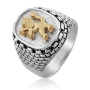 Sterling Silver and Gold Lion of Judah and Western Wall Ring - 2