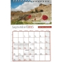 Views of Israel Calendar 2015-2016 (Desk Stand). 13 Months - 2