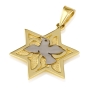14K  Yellow & White Gold Star of David Pendant with Silver Peace Dove  - 1
