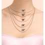 Gold Plated Disc Necklace with Initials (Hebrew / English) - 2