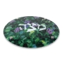 Jordana Klein Glass Matzah Plate – Flowers in the Judean Hills - 2