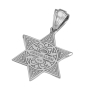 Anbinder Jewelry Deluxe 14K White Gold Star of David Pendant With White and Black Diamonds - 2