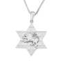 14K Gold Star of David Unisex Pendant with Lion of Judah and Western Wall Motif - 2