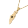14K Gold Textured Map of Israel Pendant with Diamond and Sapphire Star of David - 3