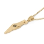 14K Gold Textured Map of Israel Pendant with Diamond and Sapphire Star of David - 4