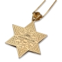 14K Gold Star of David Jerusalem Diamond and Enamel Necklace  - 4