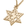 Star of David Necklace with Lion of Judah - Silver or Gold Plated - 5