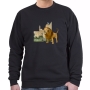 Jerusalem Sweatshirt - Lion. Variety of Colors - 3