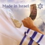 Hand Painted Israel Flag Shofar  - 4