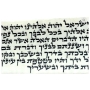 Pair of Tefillin Dakkot - Peshutim Mehudarim - Ashkenazi Version - 5