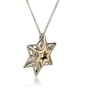 Silver and Gold Rising Star of David Necklace  - 2