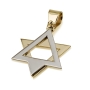 14K White and Yellow Gold Two Layered Star of David Pendant - 1
