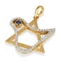 18K White and Yellow Gold Large Star of David Pendant with Diamond Dove and Sapphire - 1