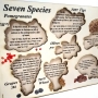 Seven Species: Interactive Educational Puzzle (Hebrew / English) - 5