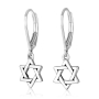 Marina Jewelry 925 Sterling Silver Exquisite Star of David Leverback Earrings - 2