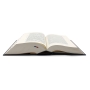The Jerusalem Bible with Thumb Tabs - Hebrew / English (Standard Size) - 6