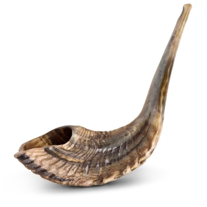 Classical-Rams-Horn-Shofar---Extra-Large---Natural-SM-45-50-N_large.jpg