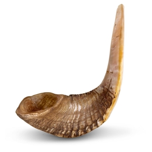 Classical-Rams-Horn-Shofar---Large---Natural-SM-40-45-N_large.jpg