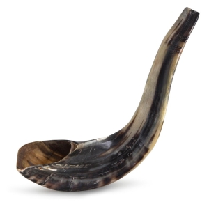 Classical-Rams-Horn-Shofar---Large---Polished-SM-40-45-P-2_large.jpg