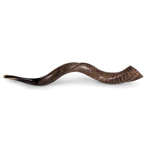 Yemenite-Kudu-Shofar---Large---Natural-SM-K6070-N_large.jpg
