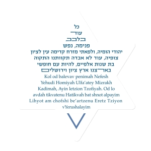 Hatikvah Star of David Magnet