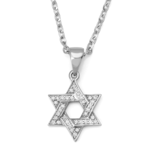 14K White Gold Sleek Diamond-Lined Star of David Pendant for Women