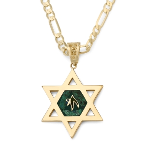 Large 14K Gold Men's Star of David Pendant with Engraved Chai on Eilat Stone