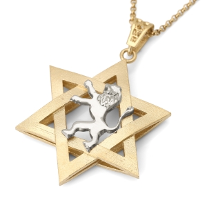 14K Gold Men's Star of David and Lion of Judah Pendant - Yellow or White Gold