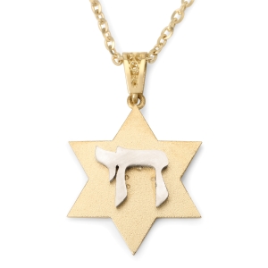 14K Yellow Gold Star of David Unisex Pendant Necklace with Chai