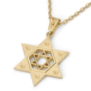 14K Gold Unisex Chai and Star of David Pendant