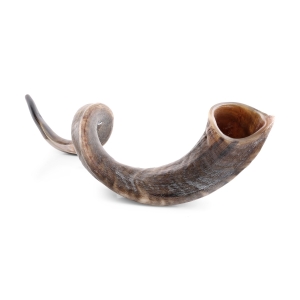 48"-50" Huge Yemenite Kudu Shofar - Natural